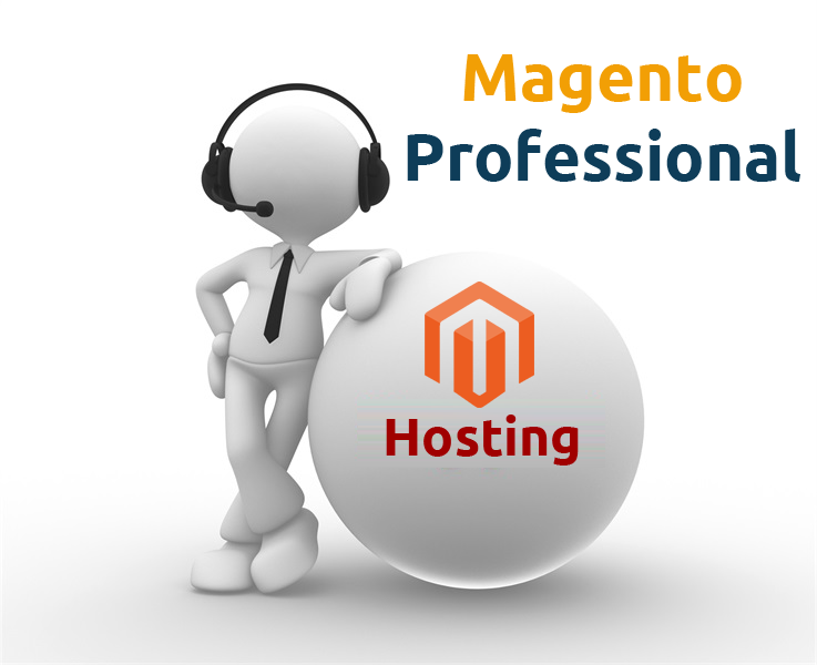 Magento Professional Hosting-0